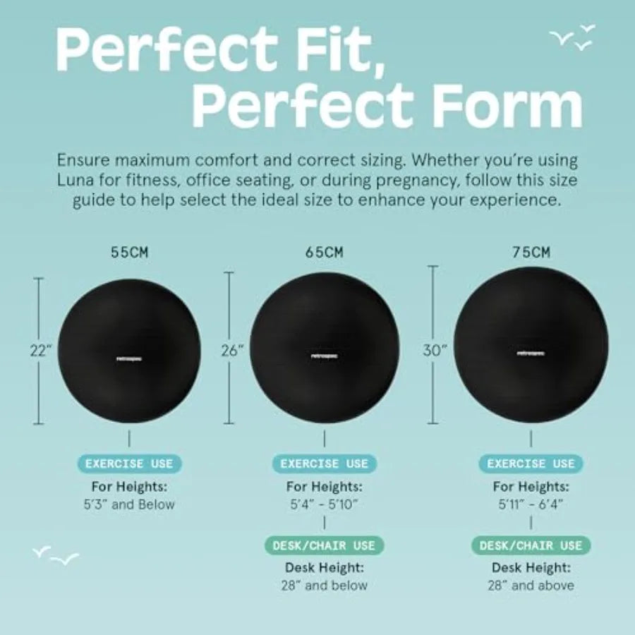 Luna Exercise Ball with Pump - Anti-Burst Fitn Equipment for Yoga, Core Training and Stability - Home Gym Swiss Ball for Office