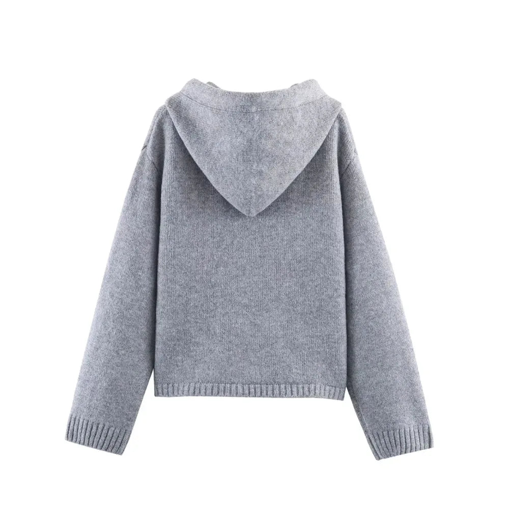 Fashion Women's patch embroidery Hoodie Sweatshirts Loose Cotton High Quality Plus Cotton Letter Printed Hoodie